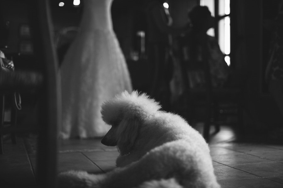 fotógrafo de bodas en sevilla 