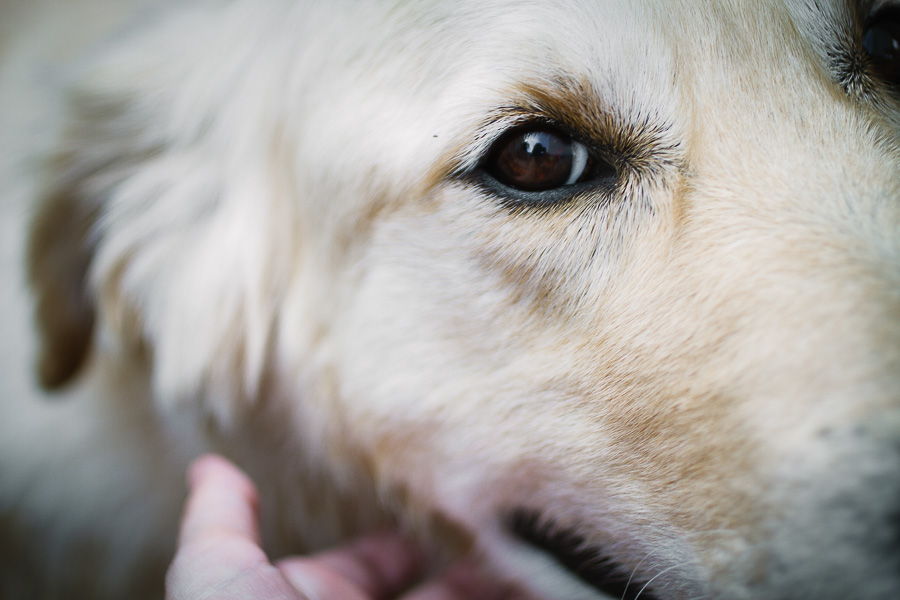 cumpleaños-barcelona-rocio-deblas-gerard-33