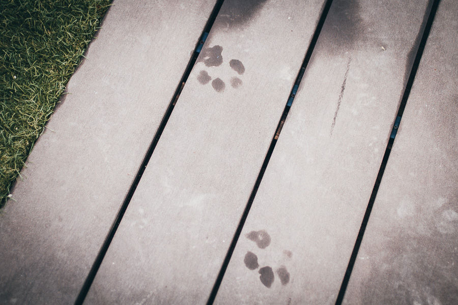 cumpleaños-barcelona-rocio-deblas-gerard-34