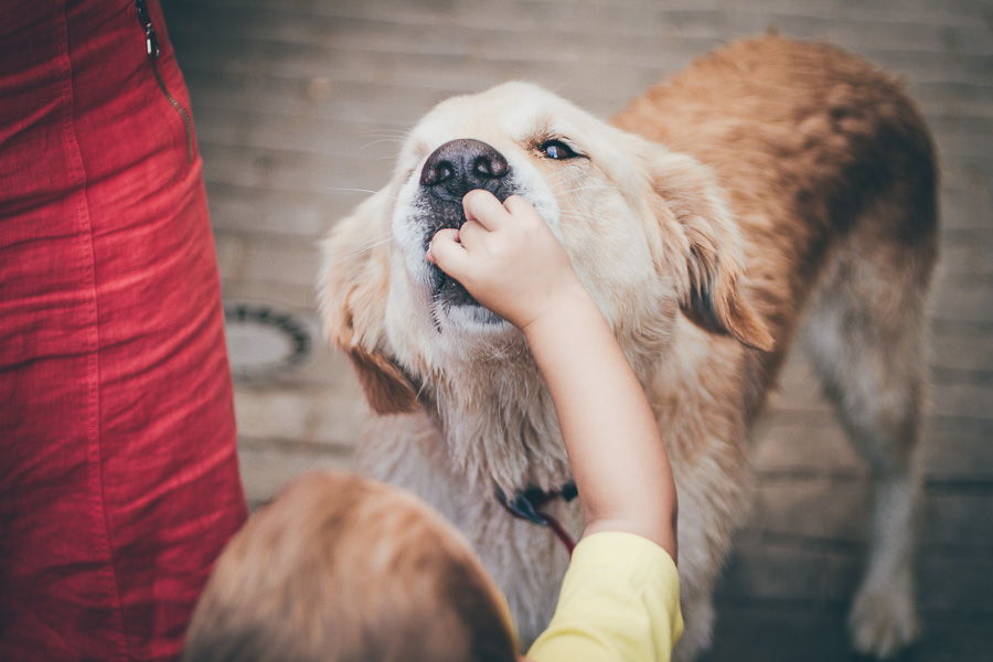 cumpleaños-barcelona-rocio-deblas-gerard-37