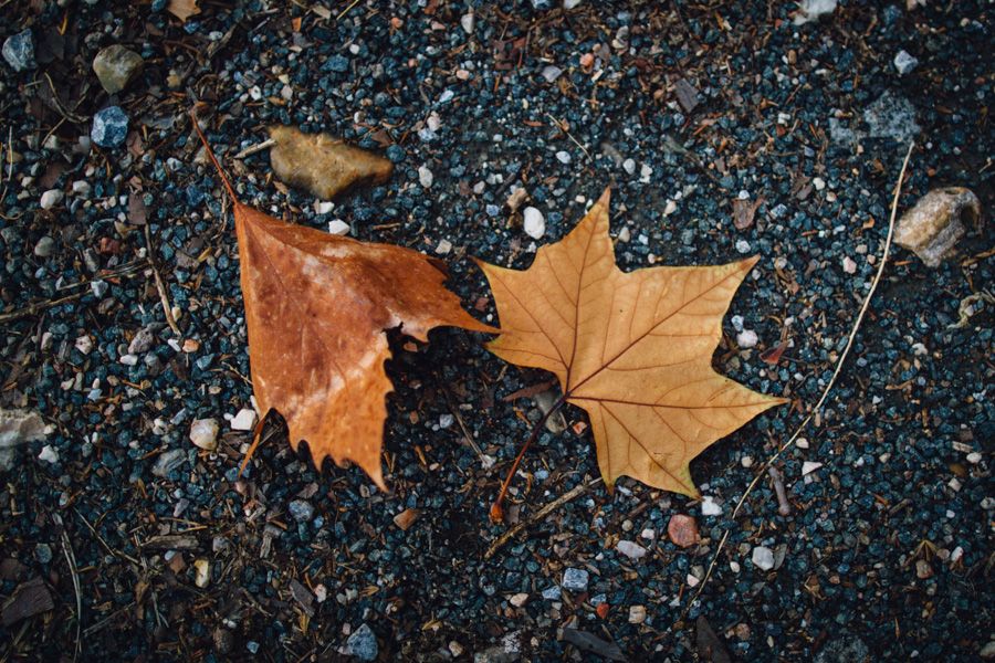 parejas-granada-rociodeblas-lurdesyjorge-18