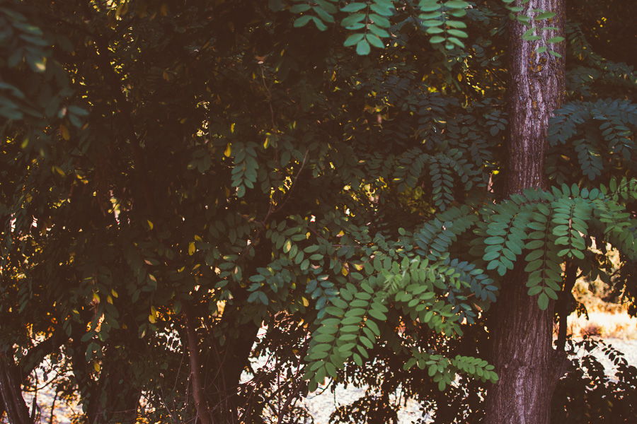 preboda-granada-rociodeblas-elenayjose-009